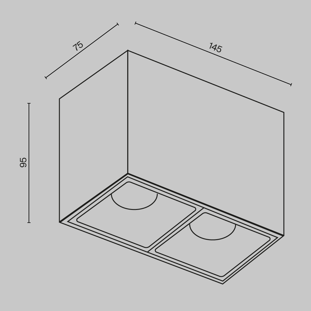 Потолочный светильник Technical C065CL-02-L12W3K-B