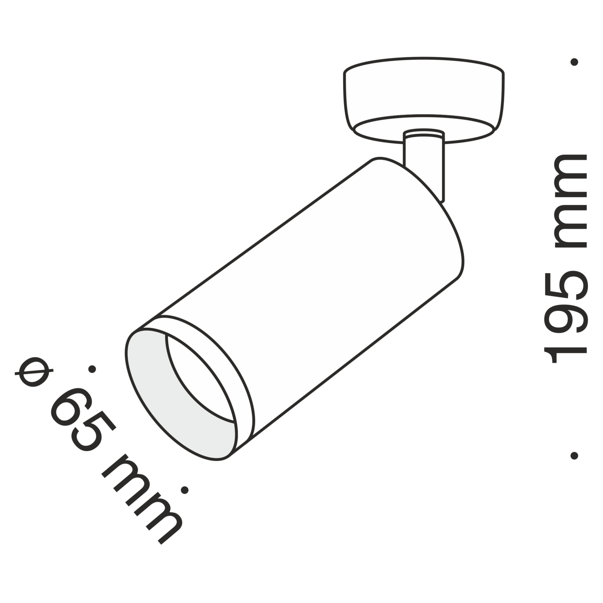 Потолочный светильник Technical C017CW-01B