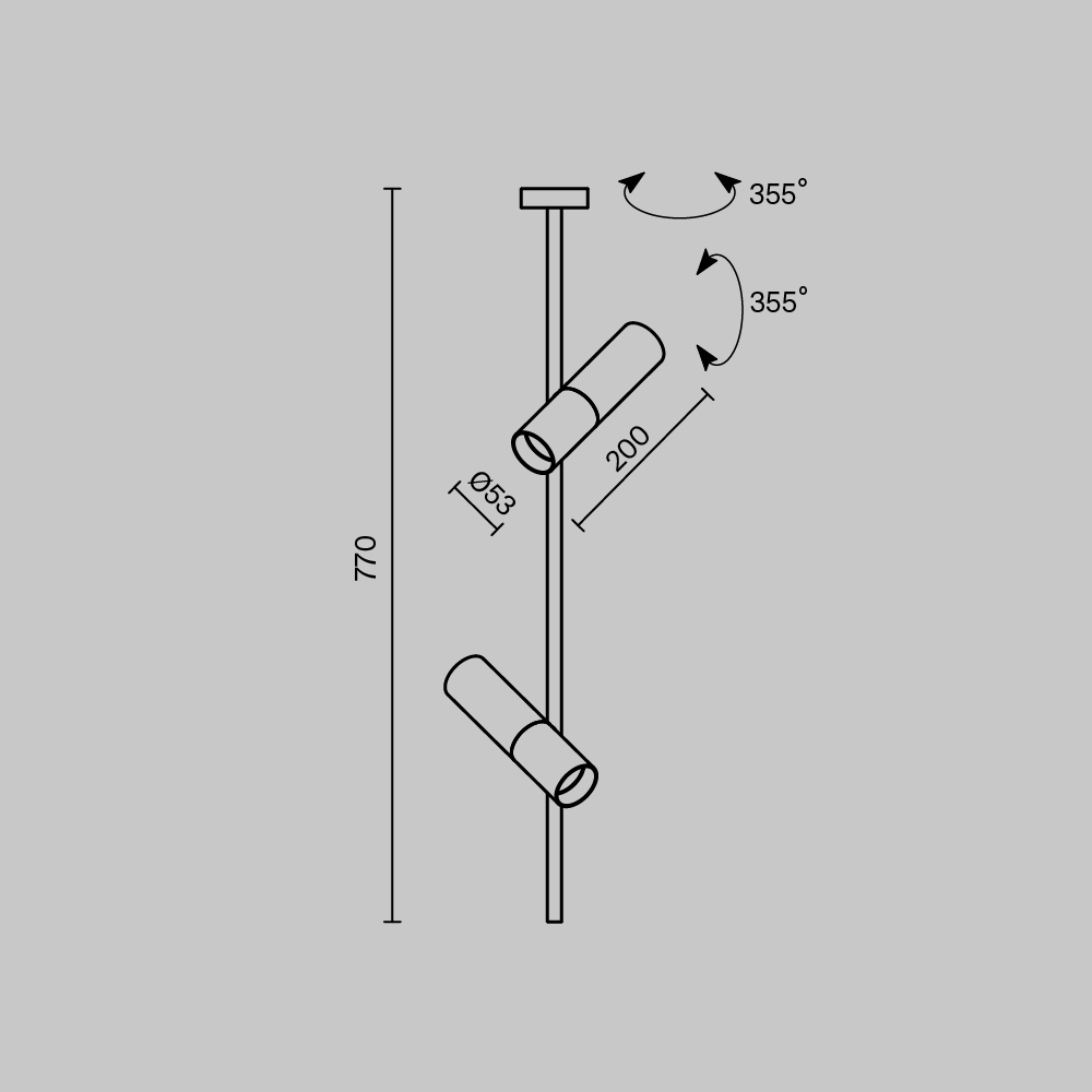 Потолочный светильник Technical C021CL-02B