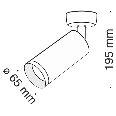 фотография Потолочный светильник Technical C017CW-01W