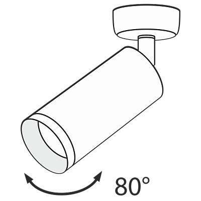 фотография Потолочный светильник Technical C017CW-01GF